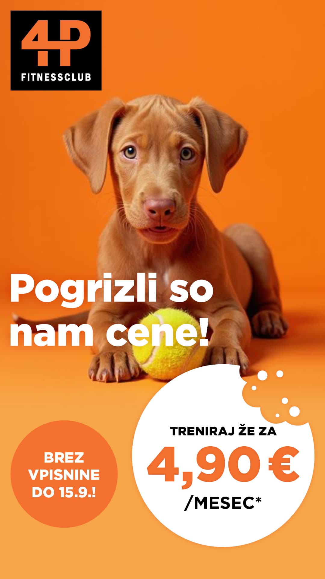 pogrizli so nam cene 4p akcija